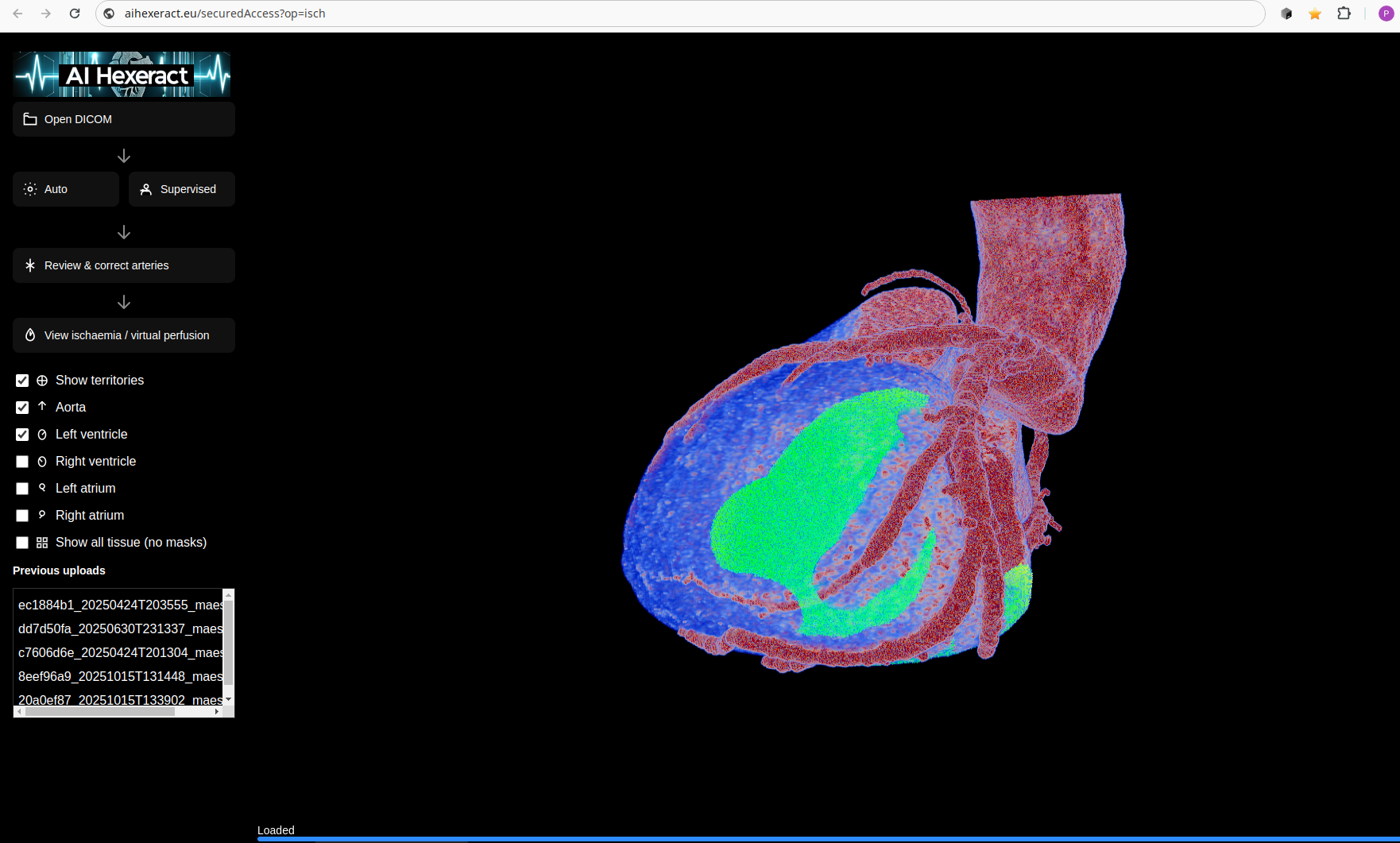 Web version visualization
